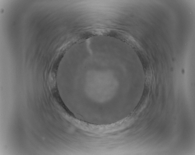 X0000078240043200611171509