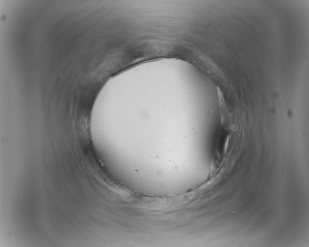 X0000078240045200611171509