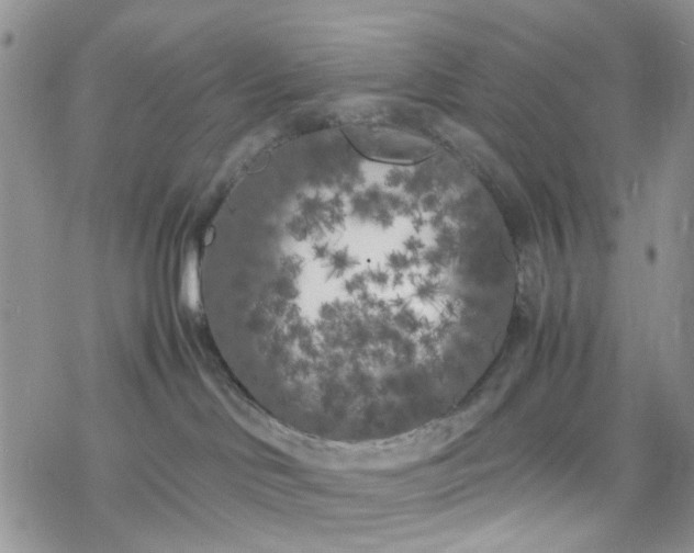 X0000078240046200611171509