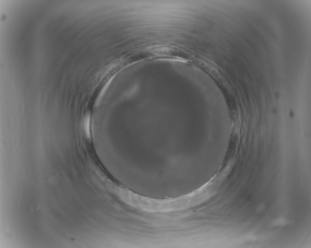 X0000078240047200611171509