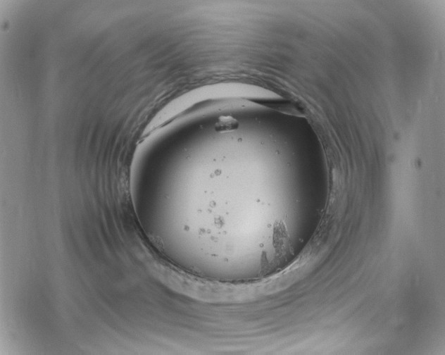 X0000078240048200611171509