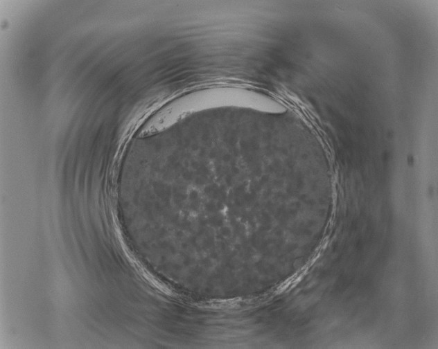 X0000078240049200611171508