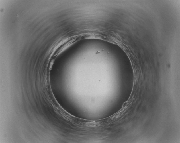 X0000078240050200611171508