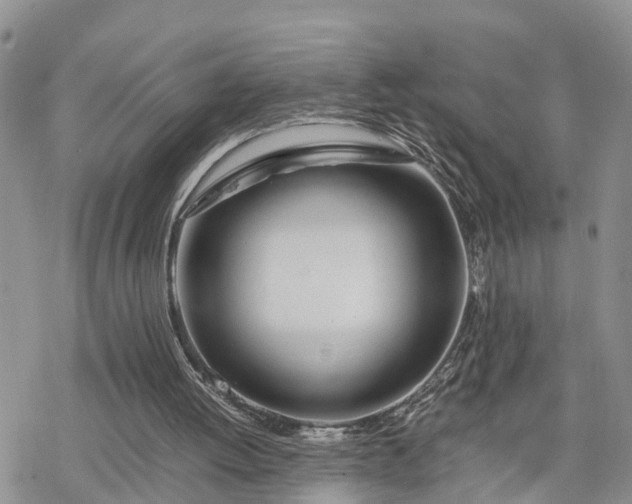 X0000078240052200611171508