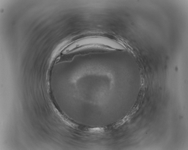 X0000078240053200611171508