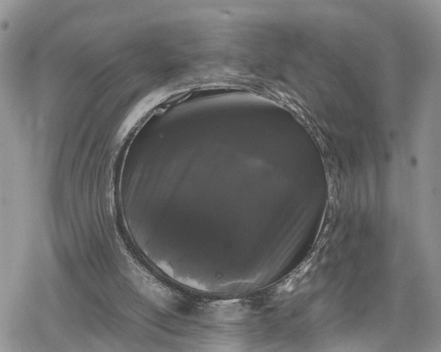 X0000078240054200611171508