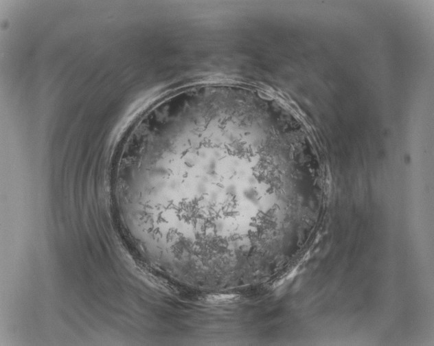 X0000078240055200611171509