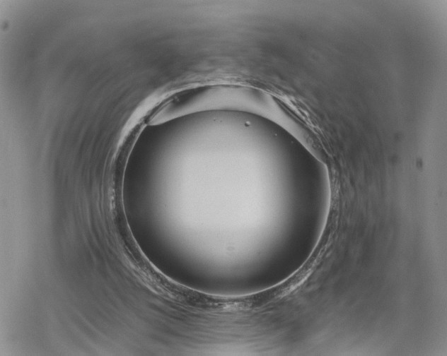 X0000078240056200611171509