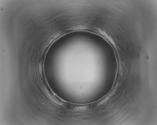 X0000078240057200611171509