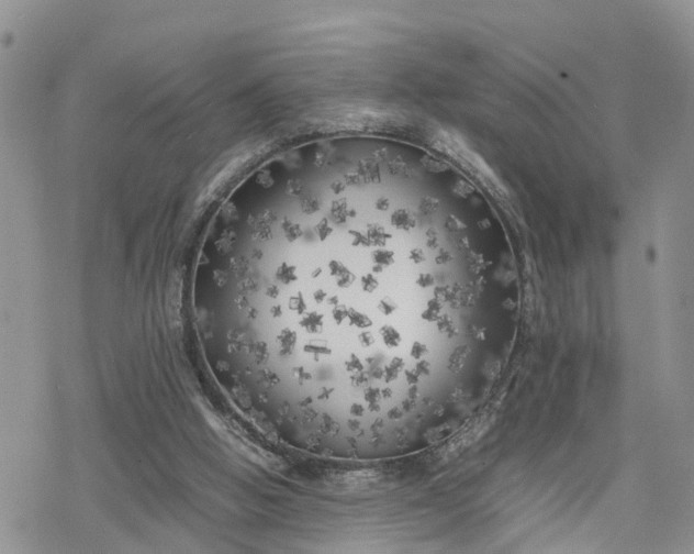 X0000078240058200611171509