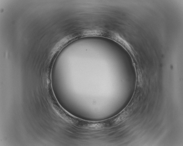 X0000078240059200611171509