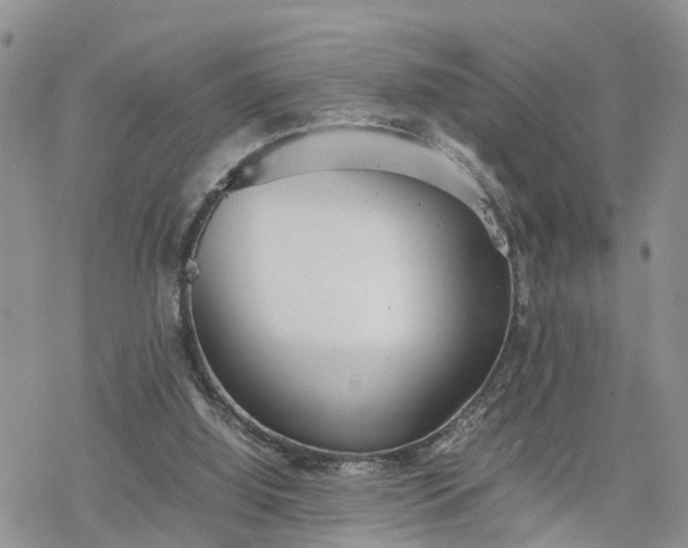 X0000078240060200611171509