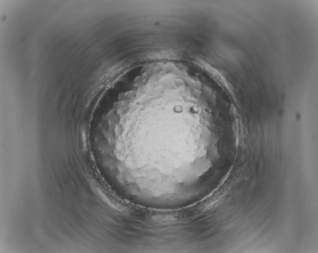 X0000078240061200611171509