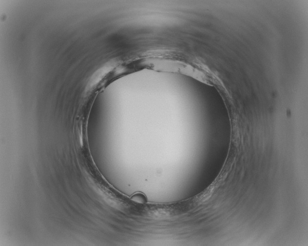 X0000078240062200611171509