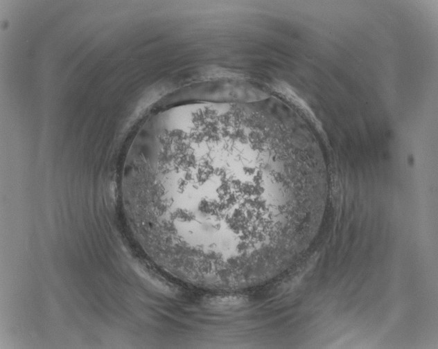 X0000078240063200611171509