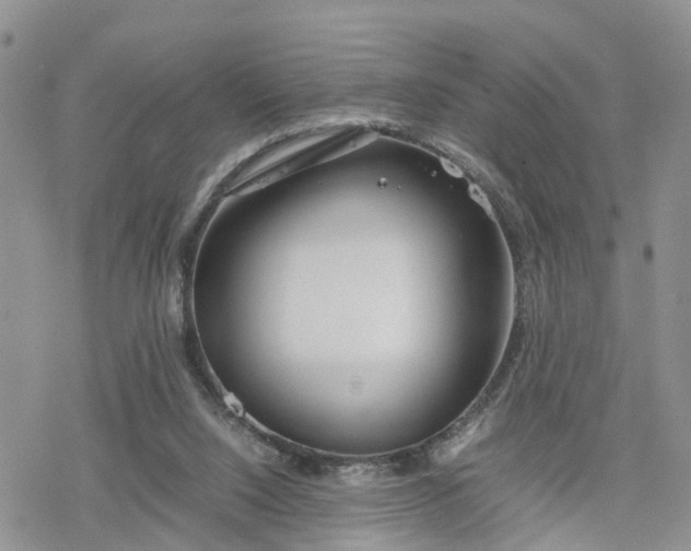 X0000078240064200611171509