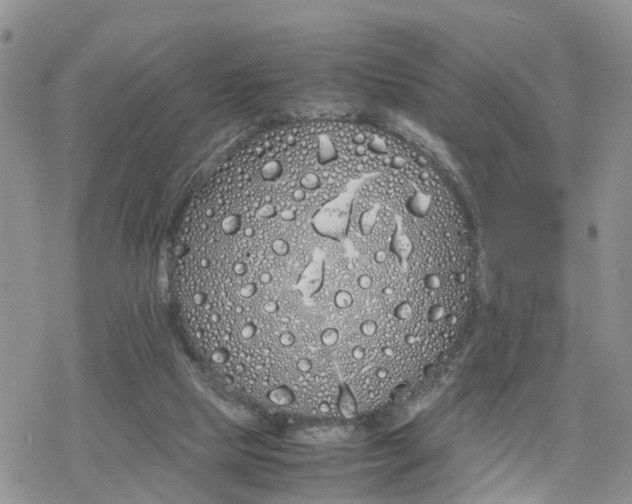 X0000078240065200611171509