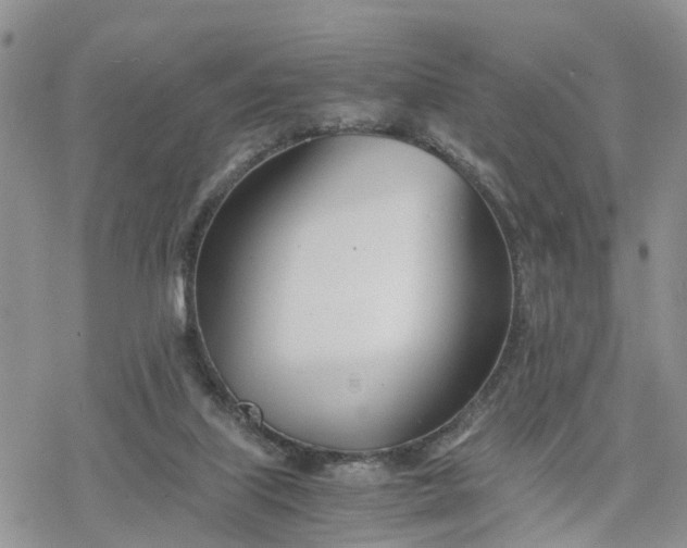 X0000078240067200611171509