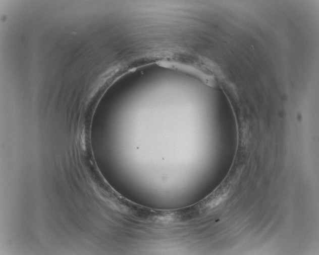 X0000078240068200611171509