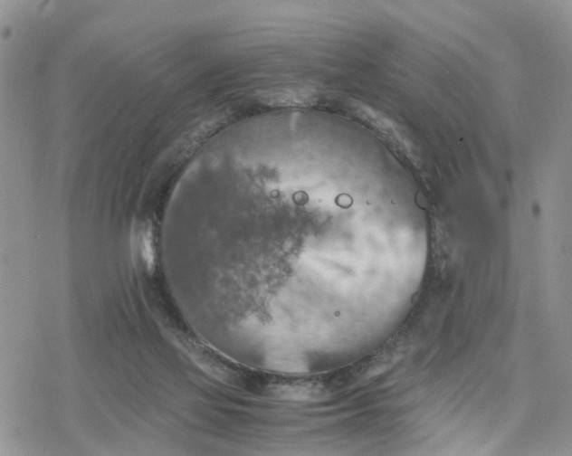 X0000078240069200611171509