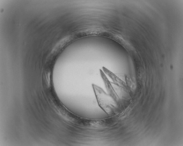 X0000078240070200611171509