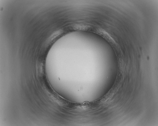 X0000078240071200611171509