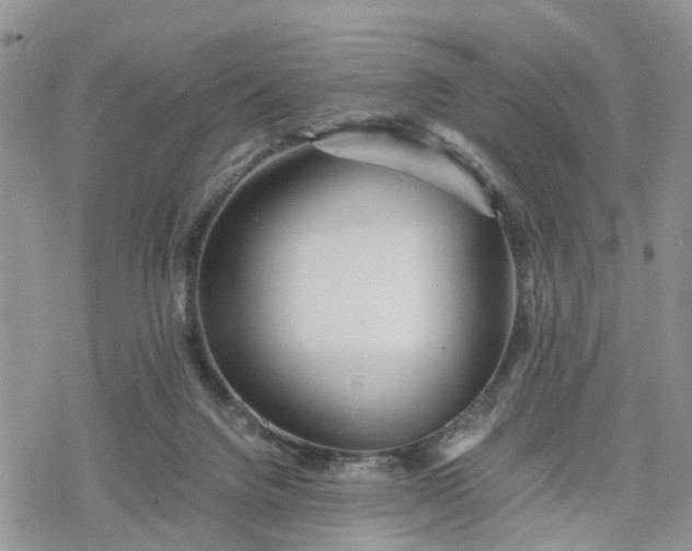 X0000078240072200611171509