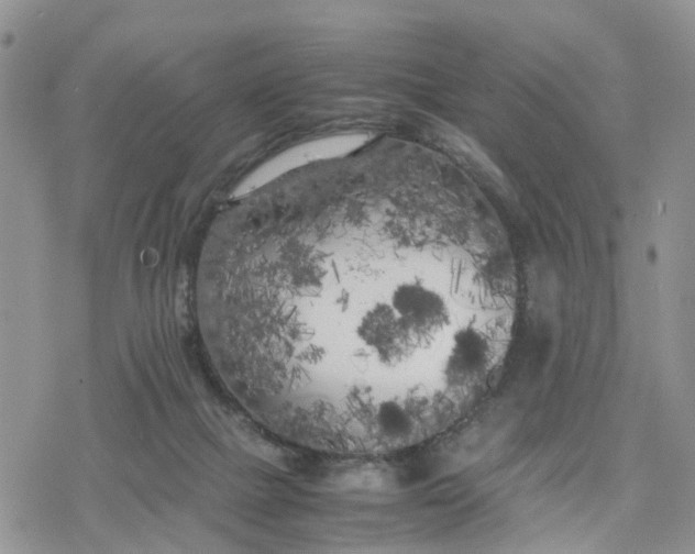 X0000078240073200611171509