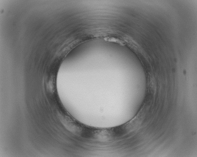 X0000078240074200611171509