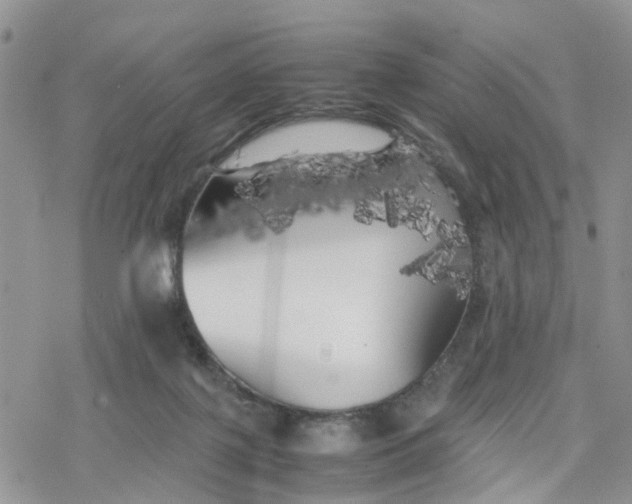 X0000078240075200611171509