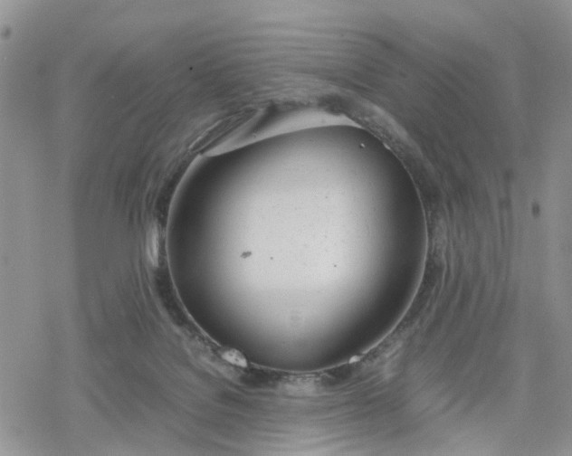 X0000078240076200611171509