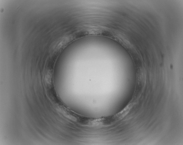 X0000078240078200611171509