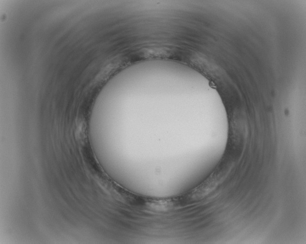 X0000078240079200611171509