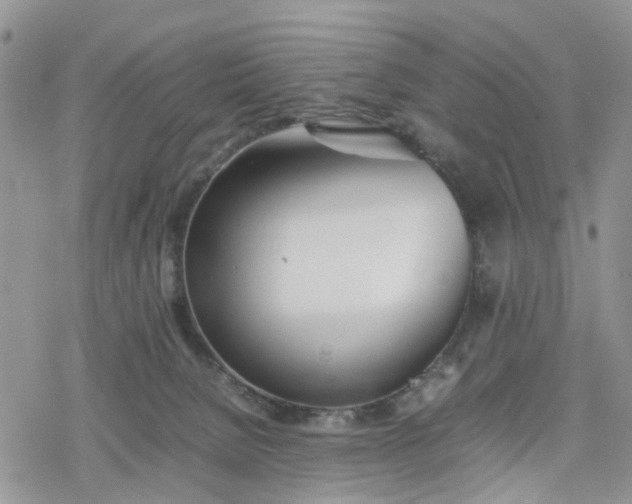 X0000078240080200611171509