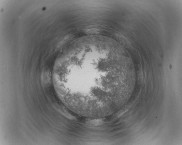 X0000078240081200611171509