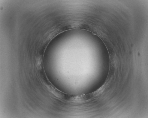 X0000078240082200611171509