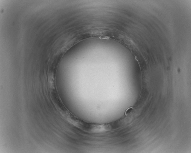 X0000078240083200611171509