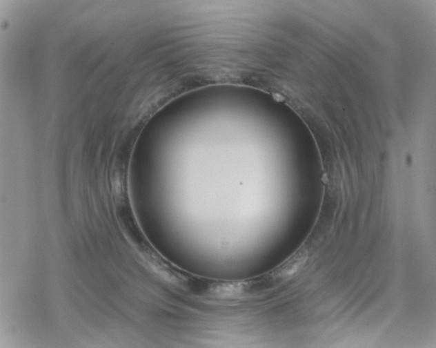 X0000078240084200611171509