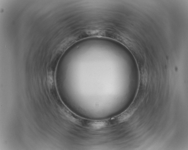 X0000078240085200611171509