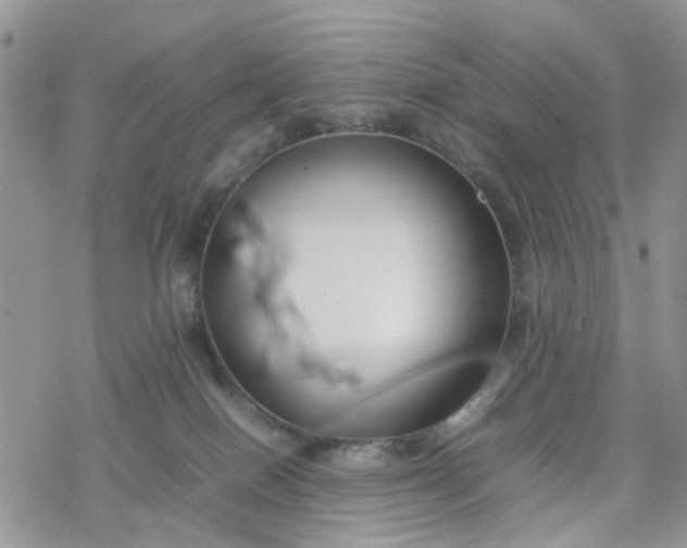 X0000078240086200611171509