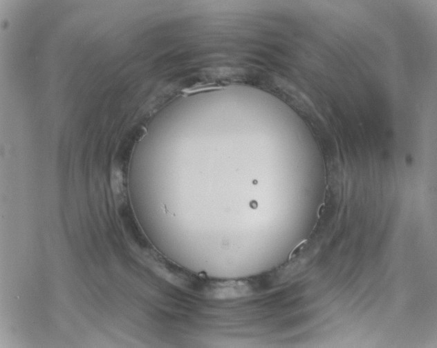 X0000078240087200611171509