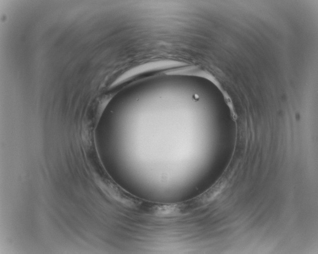 X0000078240088200611171509