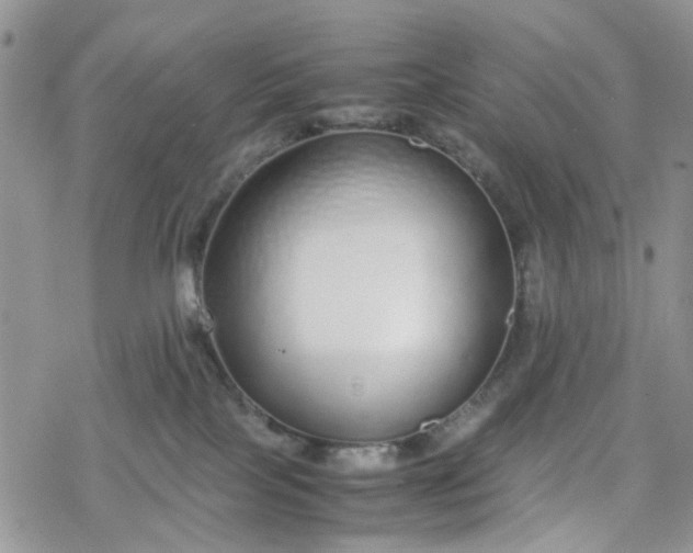 X0000078240089200611171509