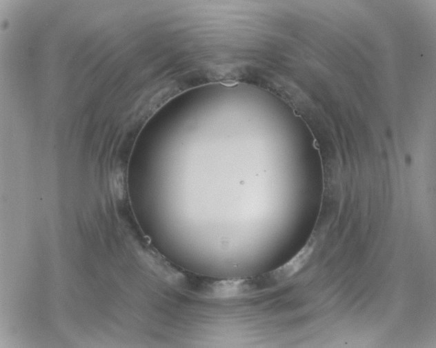 X0000078240090200611171509