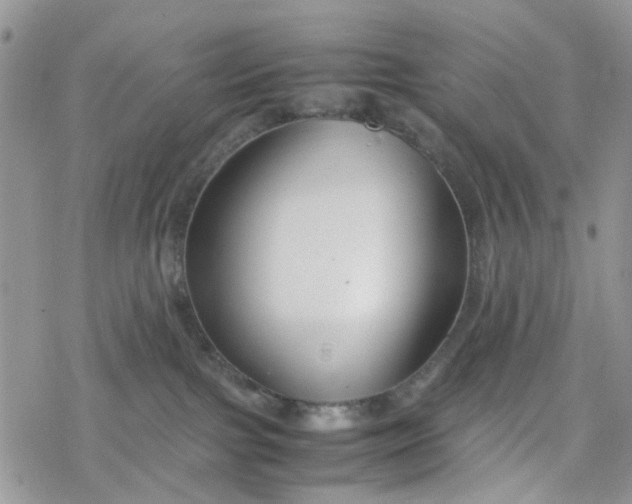 X0000078240091200611171509