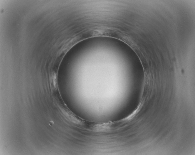 X0000078240094200611171509