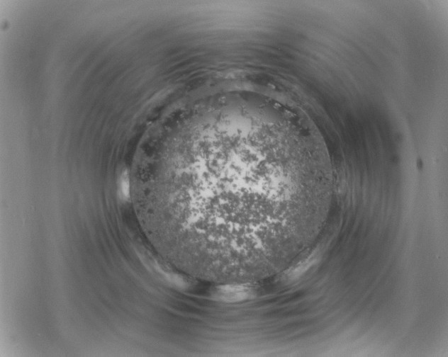 X0000078240095200611171509