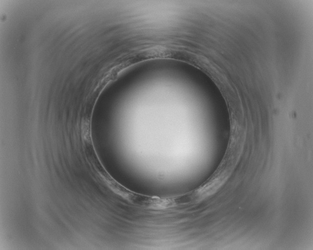 X0000078240096200611171509