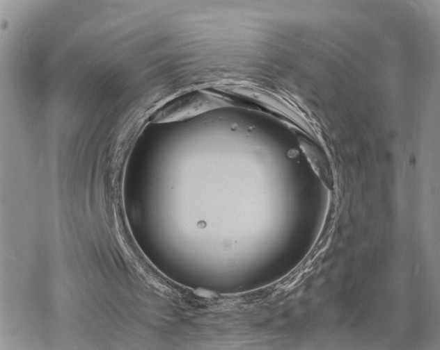 X0000078240097200611171508