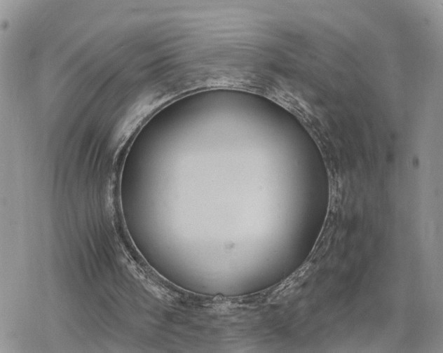 X0000078240098200611171508